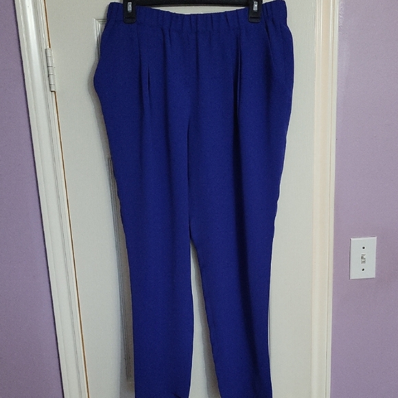 Express Pants - Express Royal Blue Women's Trousers